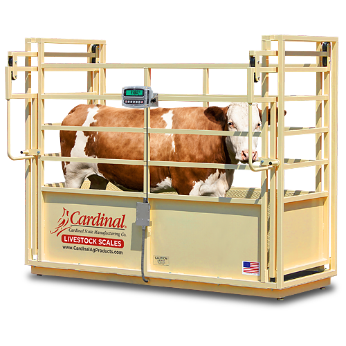 Cardinal SLS einstaklings búfésvog